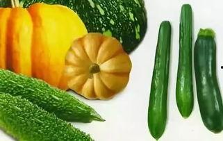 夏天吃瓜指的是什么瓜,揭秘“夏天吃瓜”的瓜类奥秘  第3张