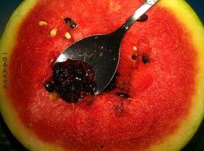 带你吃瓜奇葩古物,带你领略古物中的“吃瓜”文化  第3张