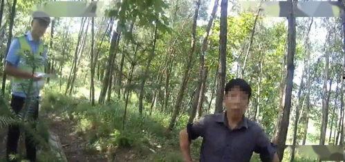 张峰吃瓜,揭秘娱乐圈幕后真相