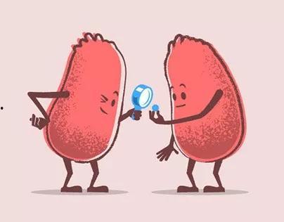 肾移植后吃瓜,健康生活新篇章