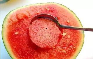 肾移植后吃瓜,健康生活新篇章