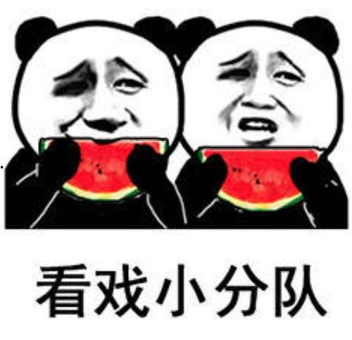 吃瓜不信瓜表情包,网络时代的幽默与讽刺