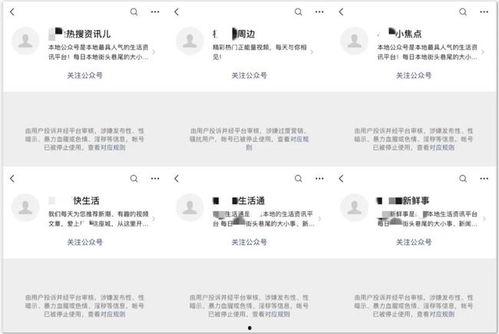 学校吃瓜事件真实记录,揭秘校园吃瓜事件的背后真相  第3张