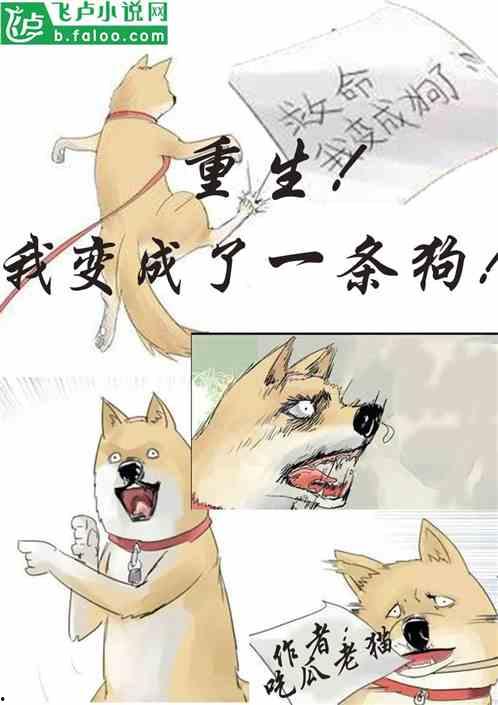 吃瓜小说走失,一场吃瓜小说引发的神秘失踪之旅  第3张